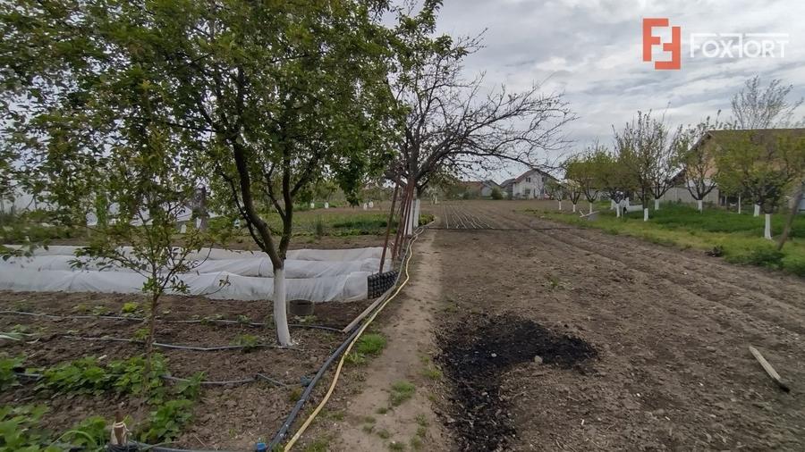 Casa individuala 3 camere, Sanmihaiu Roman - Anexe, 1062 mp teren - 15