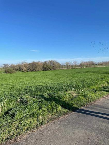 teren intravilan de vanzare 1500mp in Visini - 10