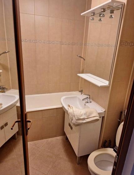 Colentina, Doamna Ghica vav Parc Plumbuita - 6