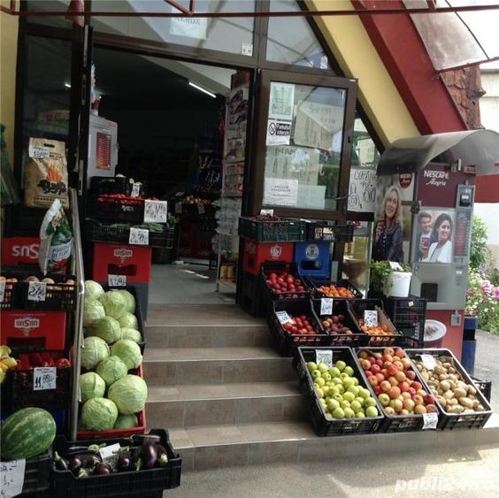 Spatiu Comercial 100 mp Triaj - 3