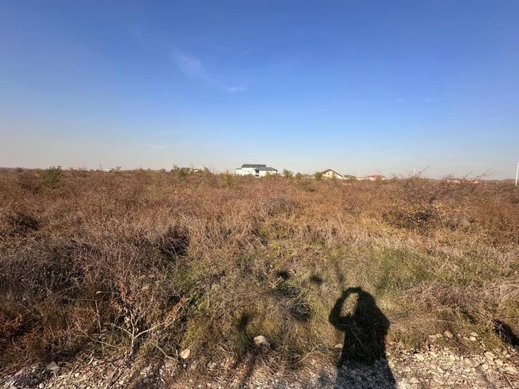 Teren INTRAVILAN de vânzare în CLINCENI-Bragadiru  587 mp - 3