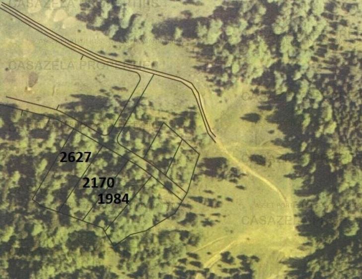 Teren in suprafata de 11 310  mp situat in Rasnov, Paraul Rece - 3