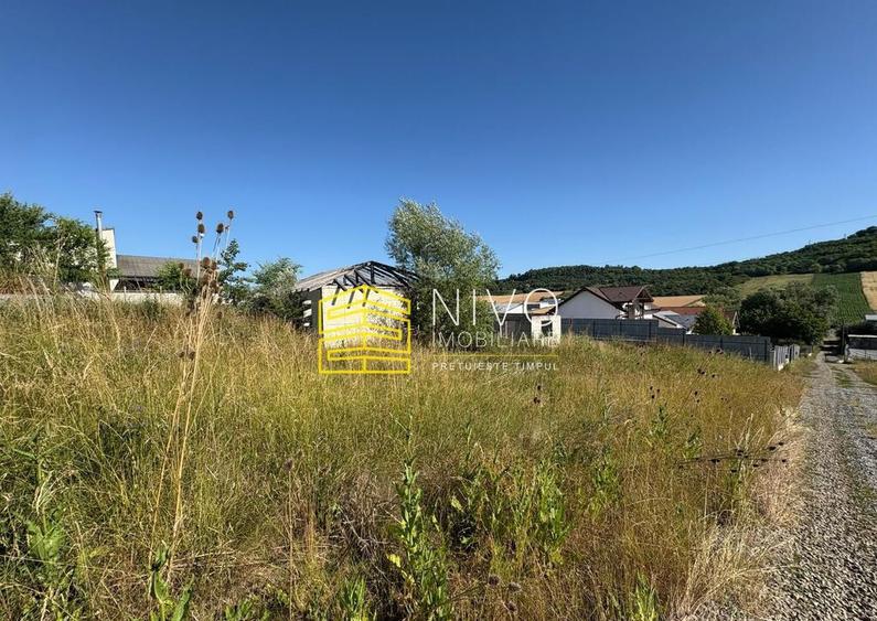 Teren intravilan Budiu Mic - 2