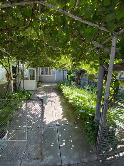 Casa de vanzare Tarlungeni - 7