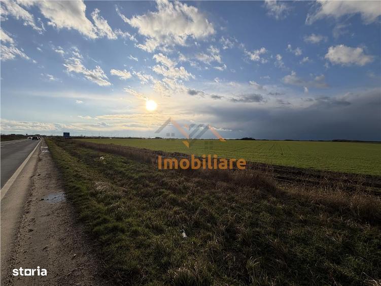 TEREN INTRAVILAN 24457 MP | 80 ML FRONT STRADAL | ORADEA | BIHOR - 3