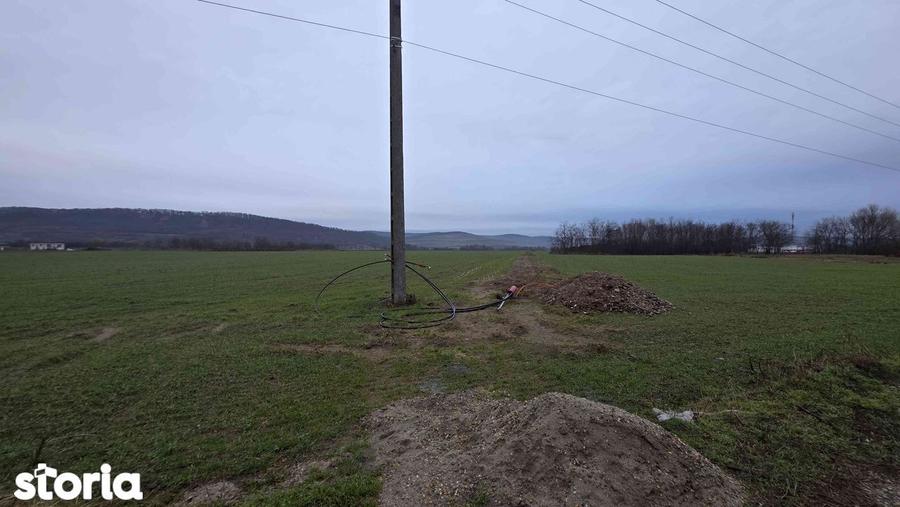 Teren Intravilan Parcelat! Parcela 520 mp. X 15 Parcele. O?orhei - 2