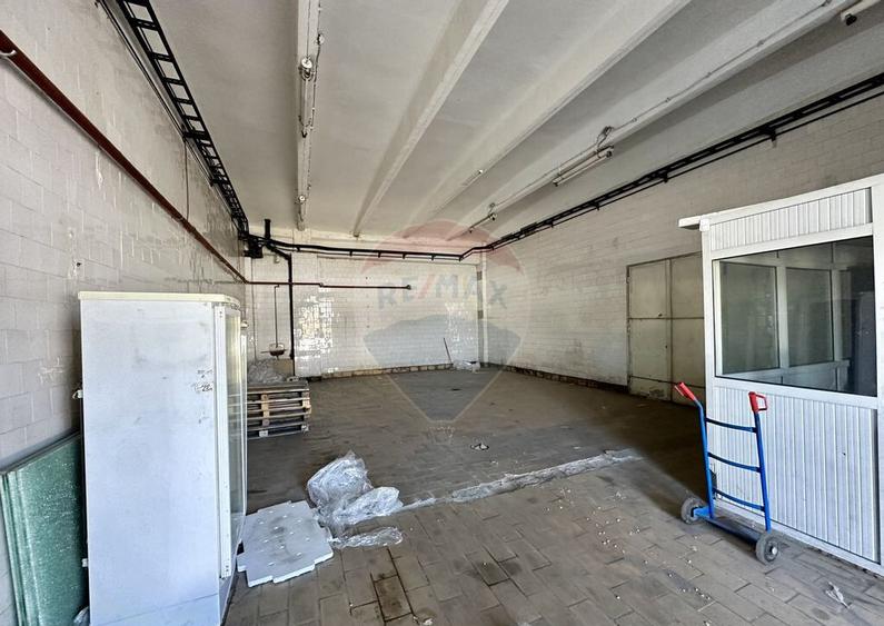 Hale Brailei Plus Frig - 3