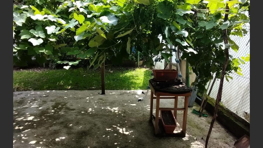 Casă cu gradina 1255mp cu sere, Copaceni , 25km de Cj-N,comision 0% - 9