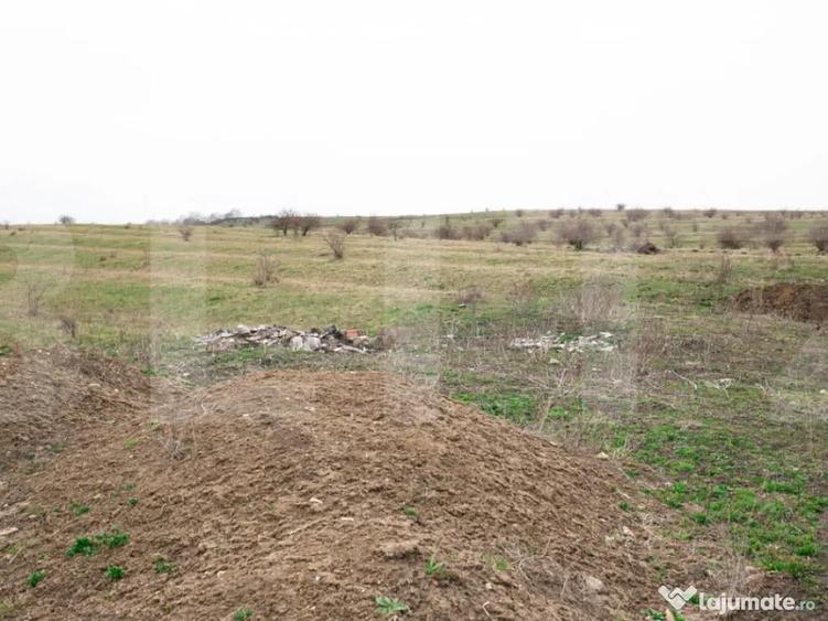 Teren 5800 mp in Campene?ti cadru natural deosebit, i - 7