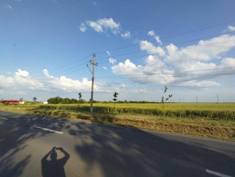 SE VINDE TEREN 5000 MP INTRAVILAN, MIXT CU DESCHIDERE LA DJ101 DE 42m - 3