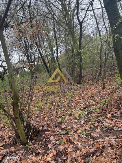 Teren intravilan in spate la Castel Transilvania 1.000mp - 7