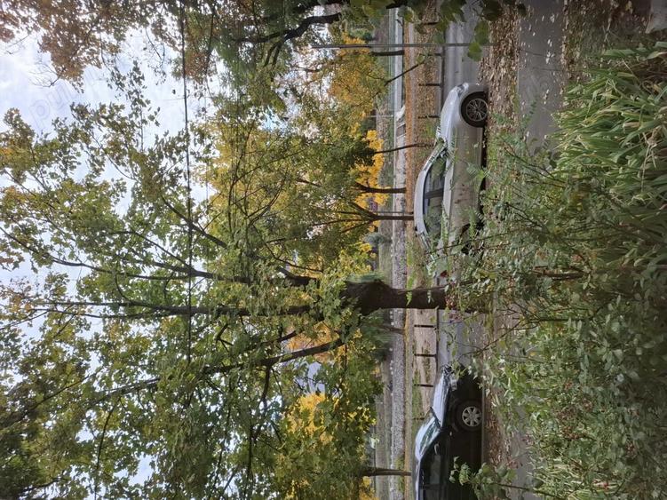 Apartament 1 camera econom - 3