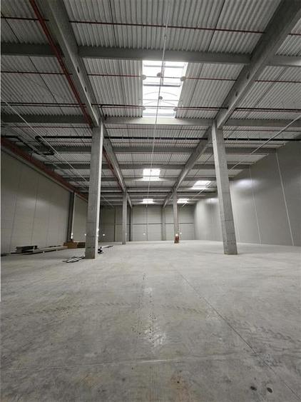Spatiu Industrial - 6200 mp - Logistica - Productie - Depozitare - Distributie - 12