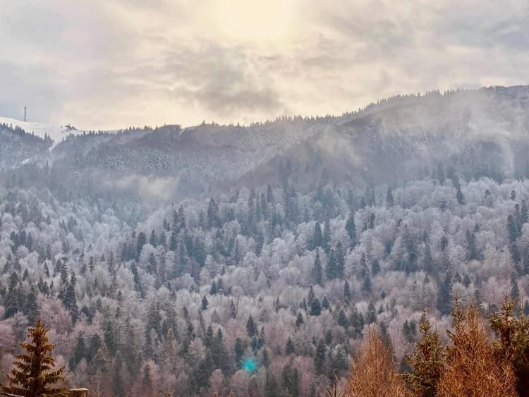 Vila spatioasa -7 camere-vedere panoramica-Azuga - 9