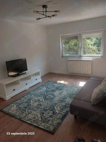 Apartamrnt 2 camere zona Lunei ,de inchiriat - 9