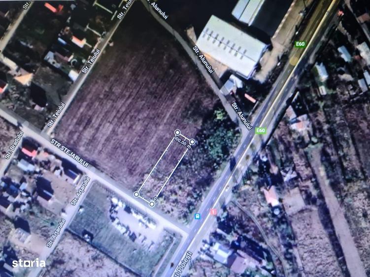 Teren intravilan Ciolpani in apropierea DN1-pozitie ideala- 39euro/mp - 1