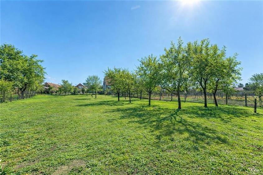 Clasa A, rezidential/ servicii/ investitional, 2.240 mp teren,Central,Halchiu,Br - 10