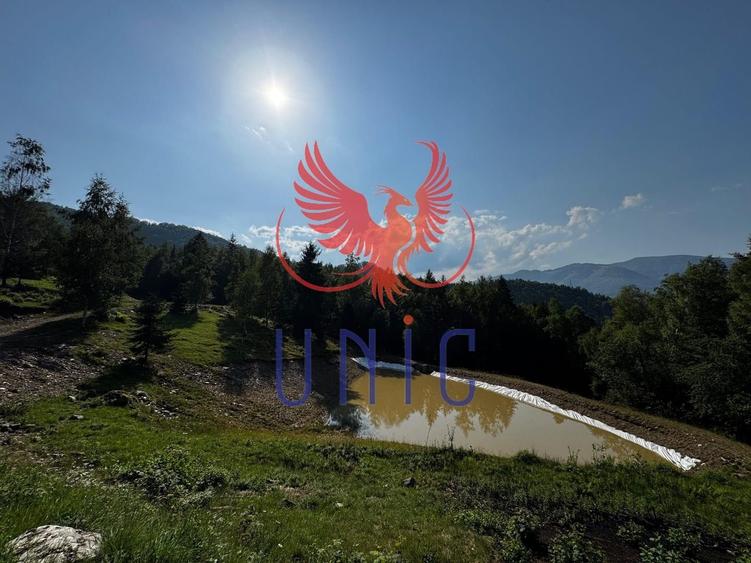 18000 mp de natura pura ,Lupeni, langa Straja - 19