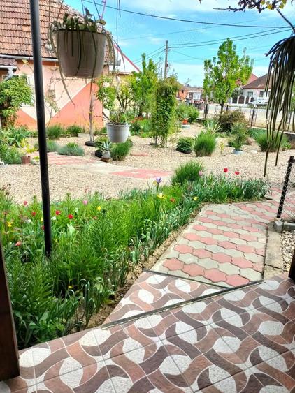 De vinzare casa Baba?e?ti jud Satu mare - 8