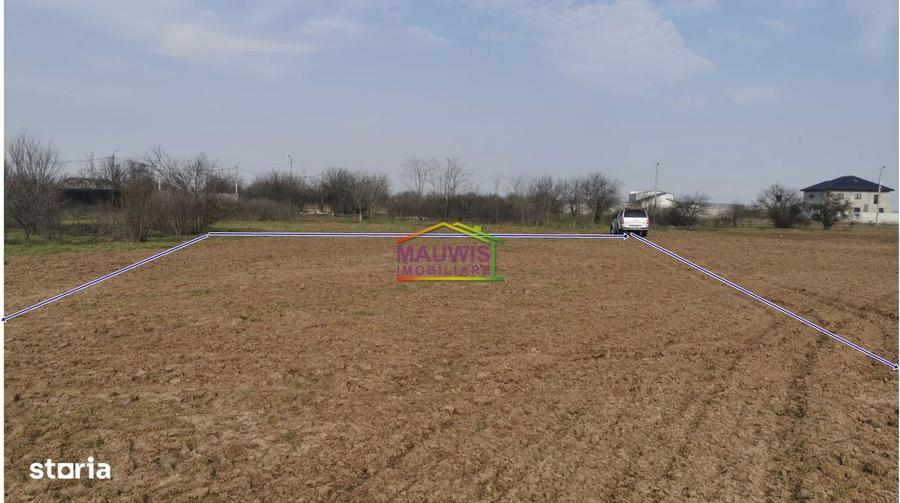 Vanzari Terenuri ILFOV - EST TANGANU - 4