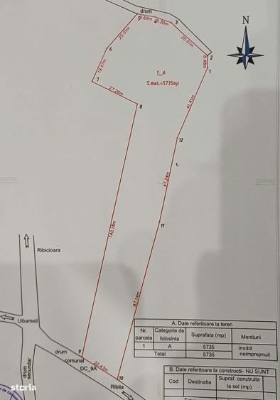 Teren intravilan de vanzare 5735 mp Ribita - 3