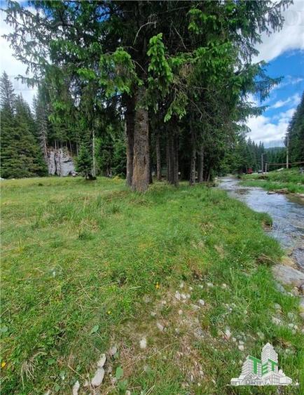 Teren intravilan de vanzare Padina/ Muntii Bucegi - 2