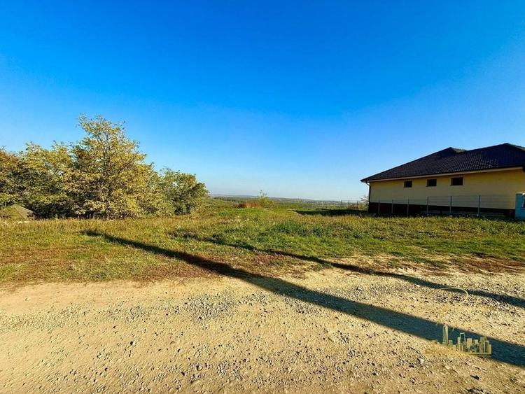 Teren Intravilan 1146 mp cu vedere panoramica de vanzare in Paleu - 2