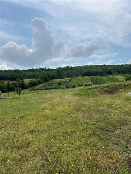 Teren Tomesti 3750MP - 5