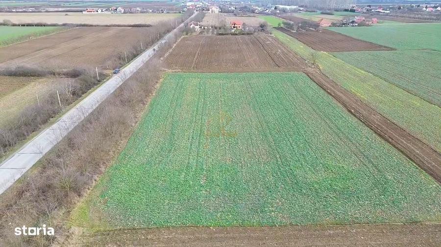 Teren 6600MP Cu Front Stradal 101 M La Intrare in Lazuri Str Botizului - 4