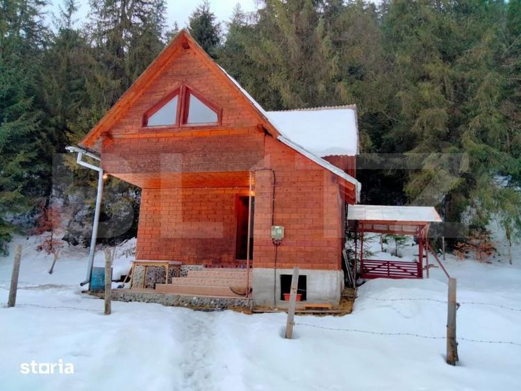 Cabana la marginea padurii Arieseni, Dealul Bajului - 14