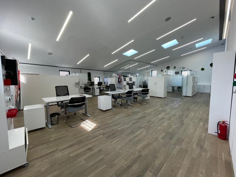 MIHAI BRAVU-TIMPURI NOI - 5