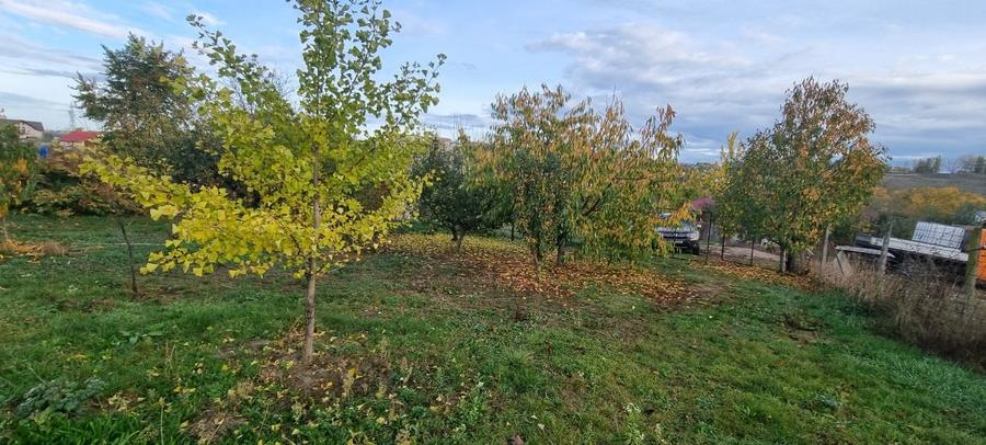 Teren intravilan imprejmuit la intrare in Curtesti - 1