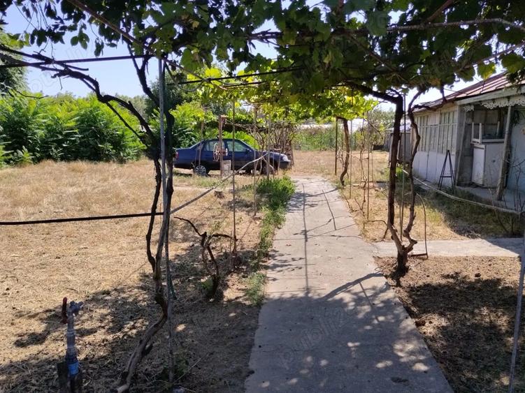 Teren intravilan + casa batraneasca - 4