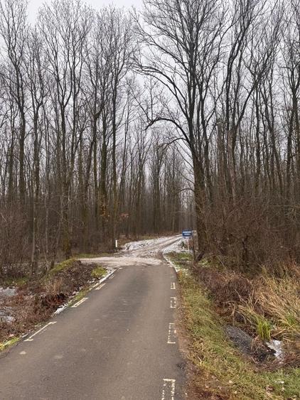 Teren Ciolpani: 500 mp langa padure si DN/ toate utilitatile - 7