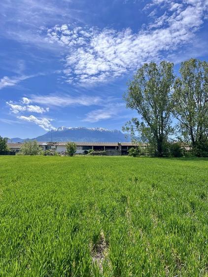 Teren de vanzare Brasov | Intravilan | Zarnesti 1150m2 - 5