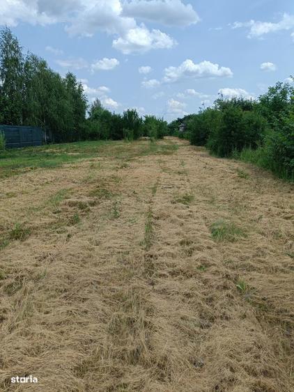 6 parcele intravilane de 485 mp in Mihai Voda, Bolintin Deal, Giurgiu - 5