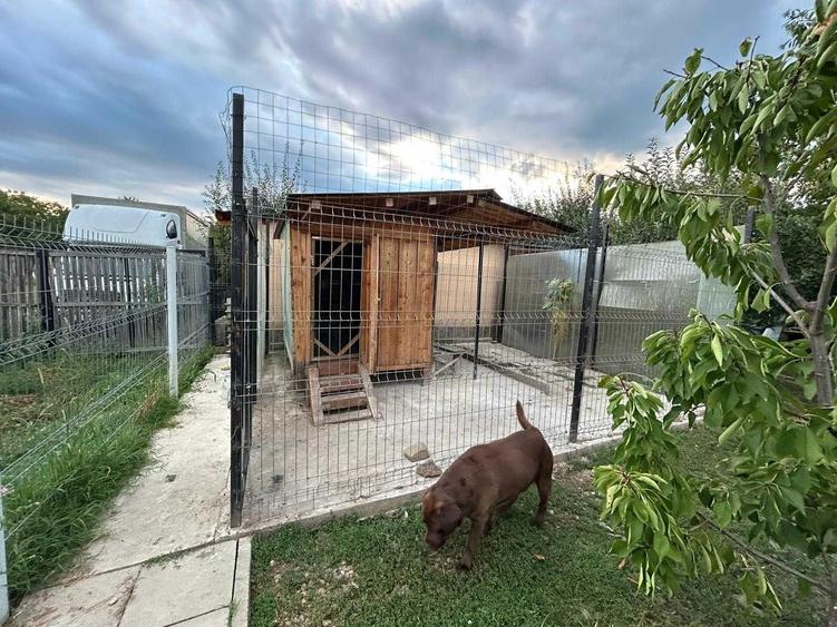 Teren intravilan peisaj superb - 2