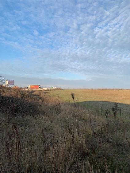 Pantelimon Centura  Vanzare  suprafata compacta  teren extravilan  71 889mp - 4