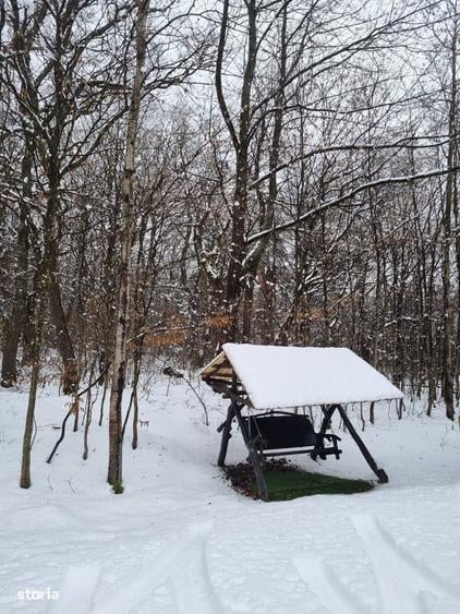 Teren extravilan 2200 mp, zona Calea Poplacii, la 5 min de Valea Aurie - 4
