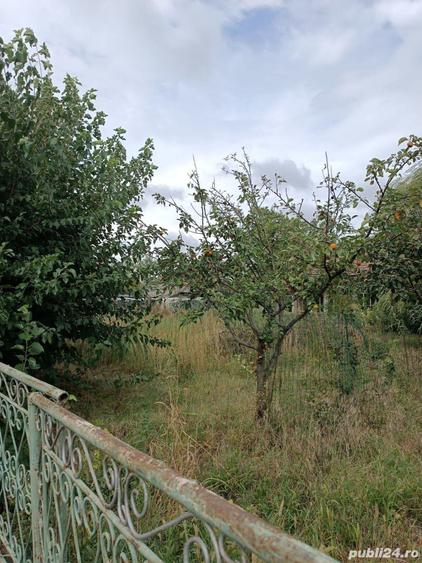 Teren cu casa batraneasca Comuna Baneasa - 5