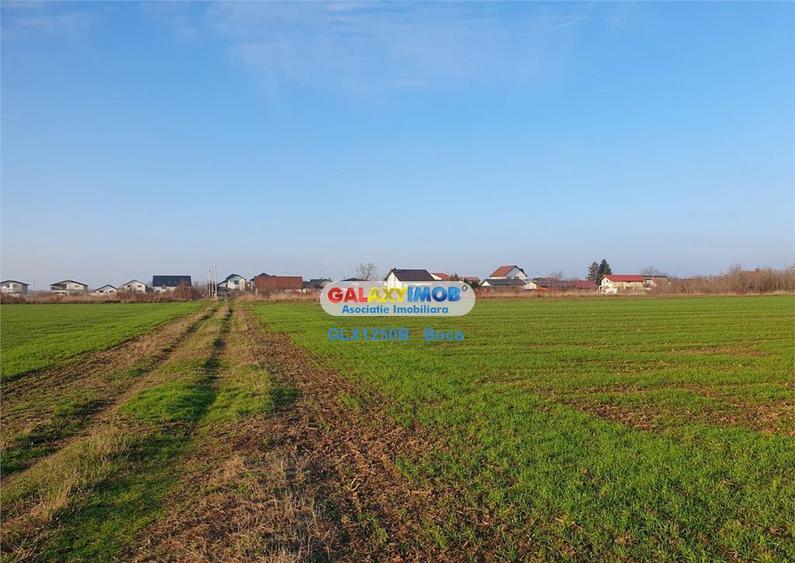 Teren intravilan Crevedia-Manastirea - 2