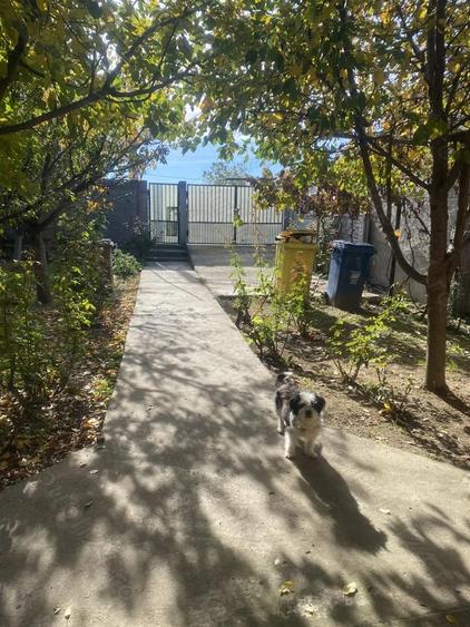 Casa de vanzare Romanesti. - 5