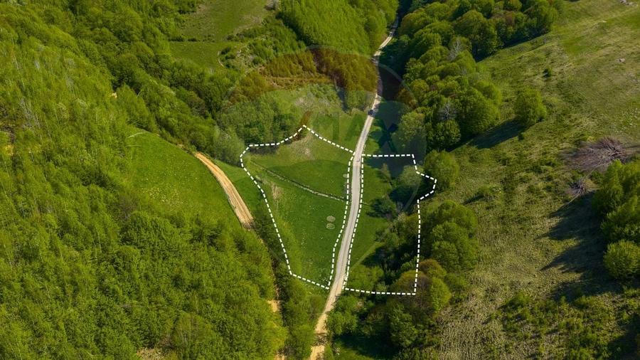 Teren agricol extravilan de 4363 mp, în Holbav