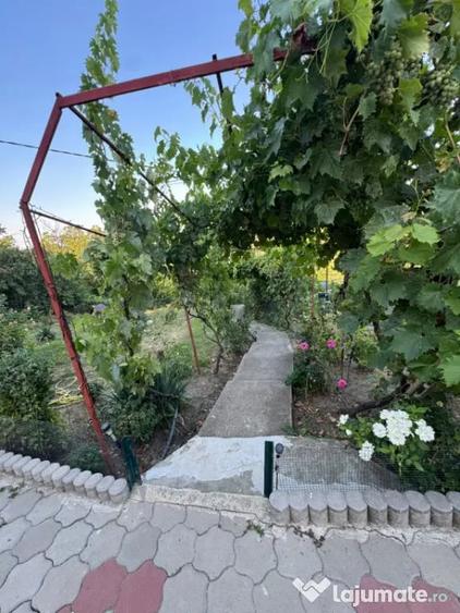 Casă cu 4 camere cu Teren 1160 Mp în Podari