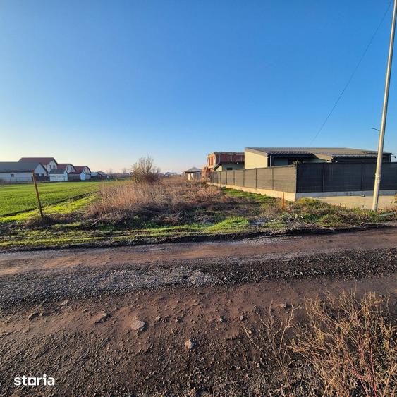 Casă cu 5 camere cu Teren 5000 Mp în Vidra