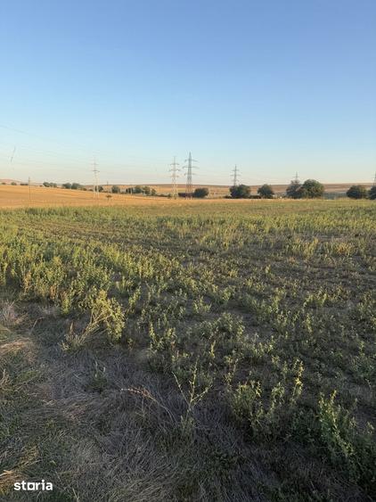 Teren de 4000 mp, în Frecăței