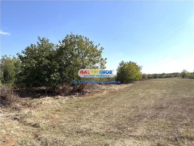 Teren intravilan de 6587 mp, în Exterior Nord