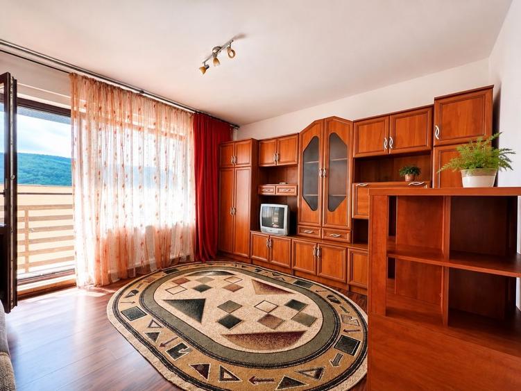 Garsonieră decomandată în Drumul Carului