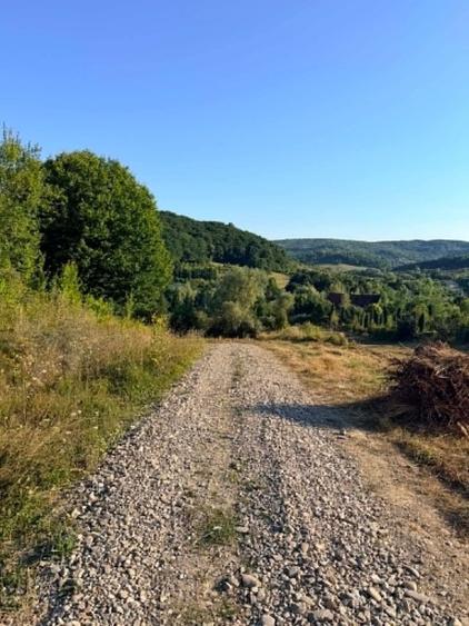 Teren de 1500 mp, în Podiș