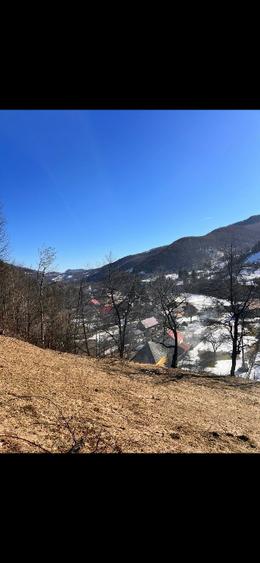 Teren Construcții intravilan de 7000 mp, în Avram Iancu
